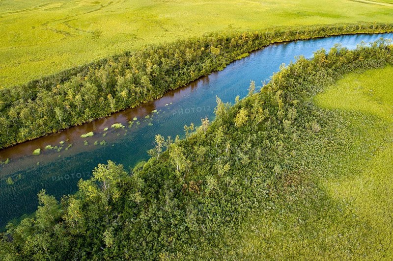 Turquoise river flowing through lush green swamp area