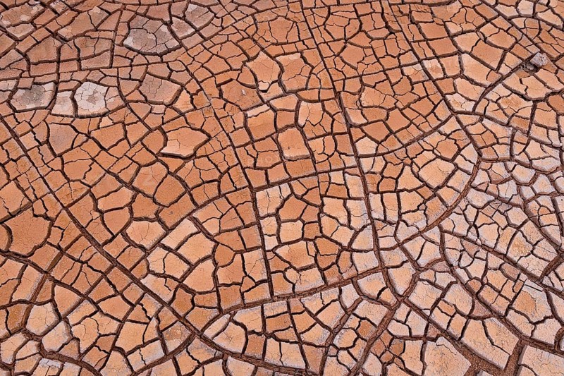 Cracks in clay soil form mosaic-like structure