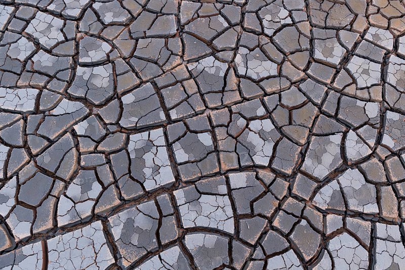 Cracks in clay soil form mosaic-like structure