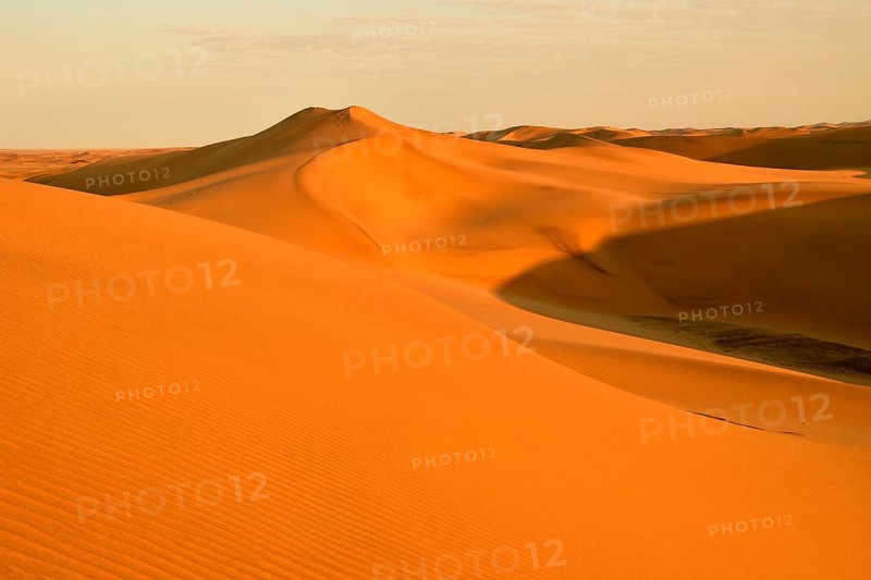 Sand dunes of the Namib Desert