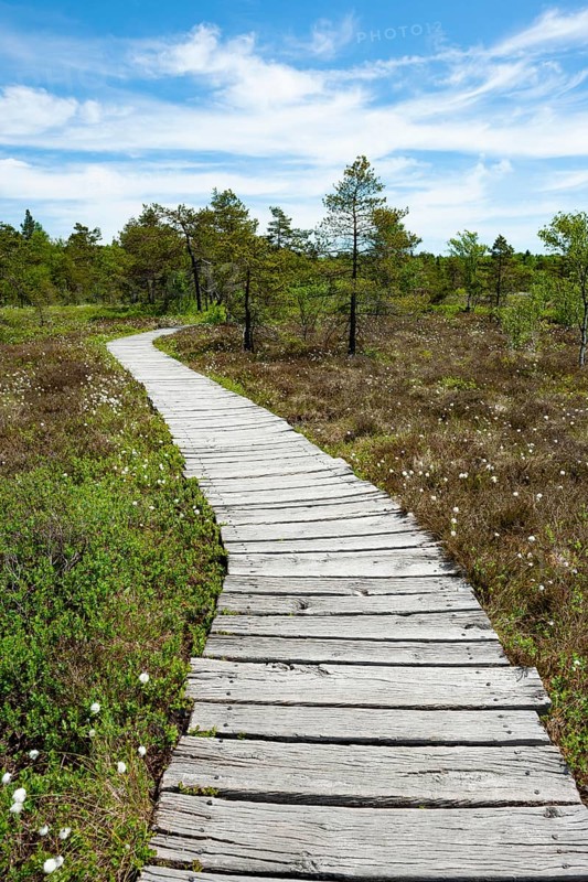 Boarded footpath