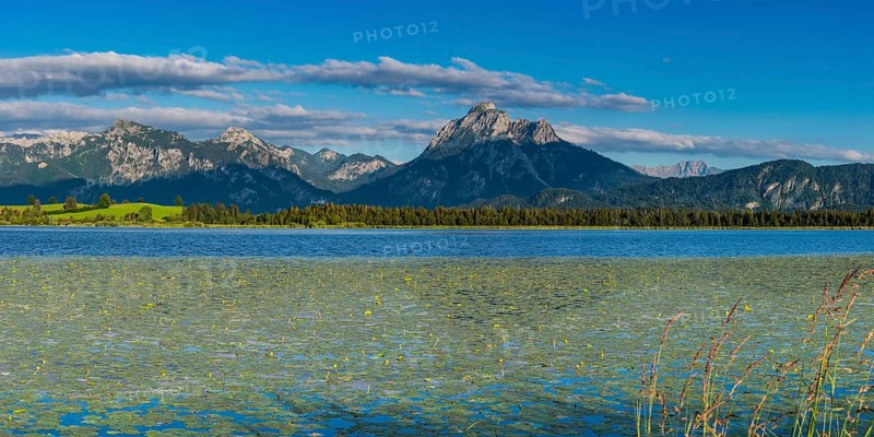 Hopfensee with Water lilies