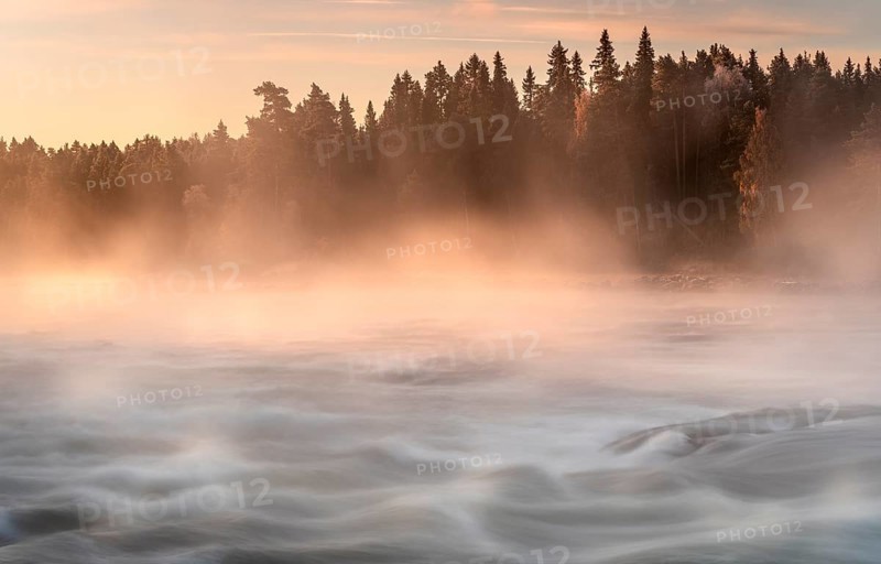 Autumn atmosphere with fog on the river in the evening light
