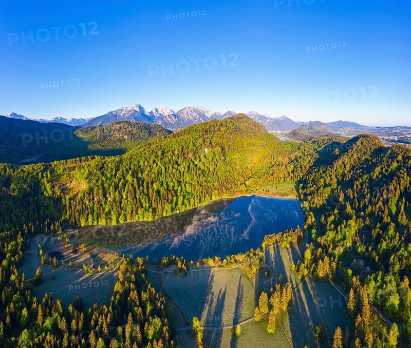 Swan Lake near Schwangau