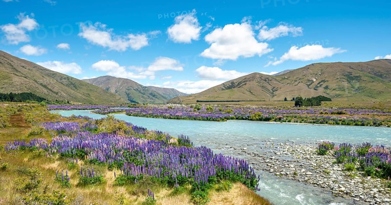 Ahuriri River