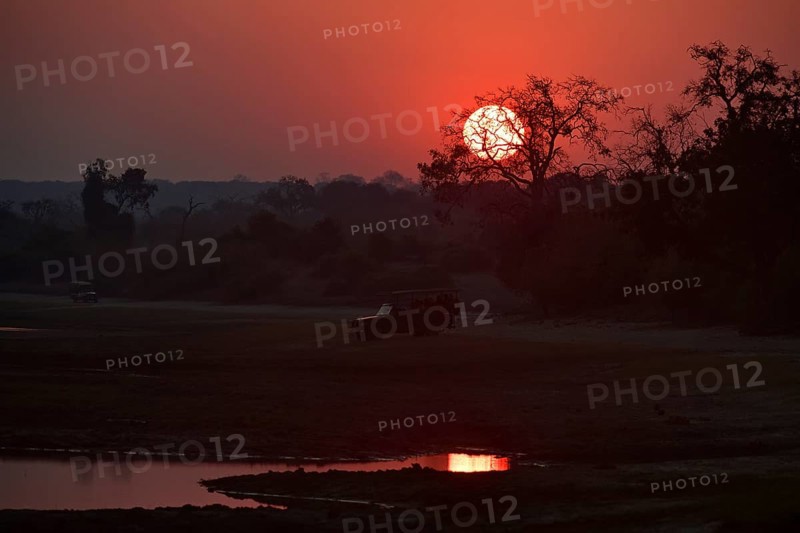Sunrise safari vehicles along the Chobe River