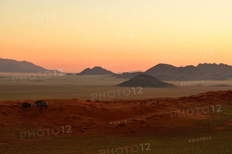 Landscape in the soft evening light at the edge of the Namib Desert