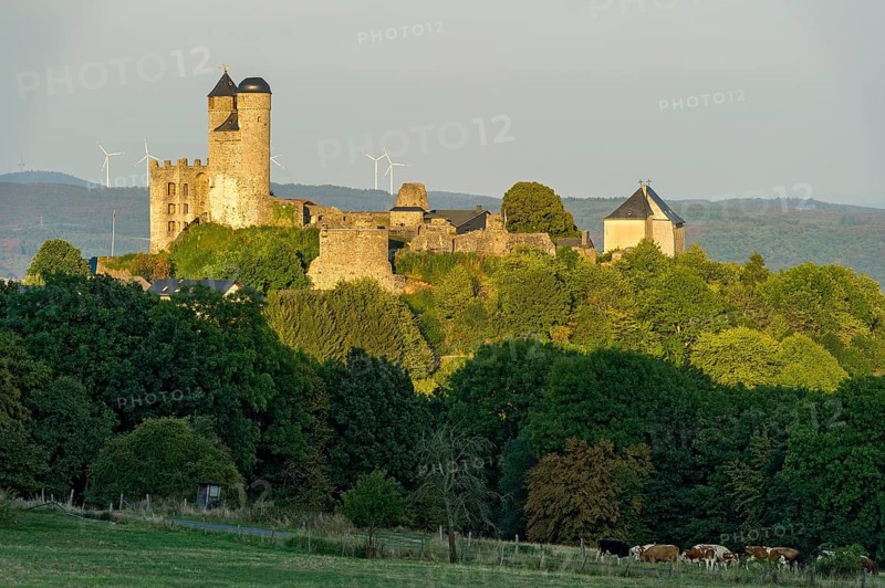 Ruins of the medieval castle Greifenstein
