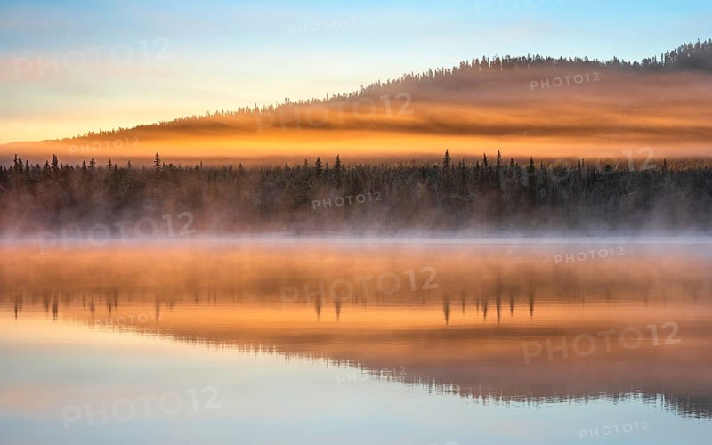 Autumnal fog atmosphere on the lake shore in the evening light