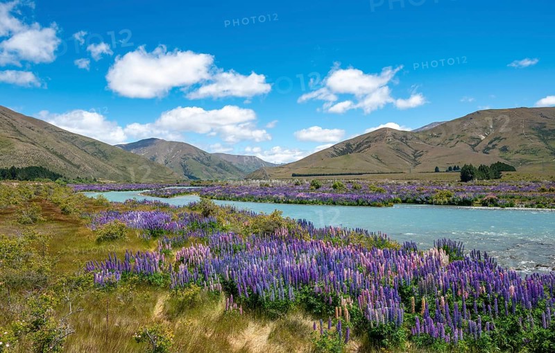 Ahuriri River