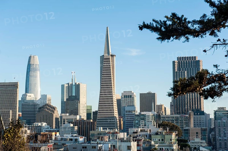 View of the city from Telegraph Hill