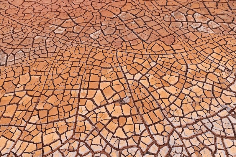 Cracks in clay soil form mosaic-like structure
