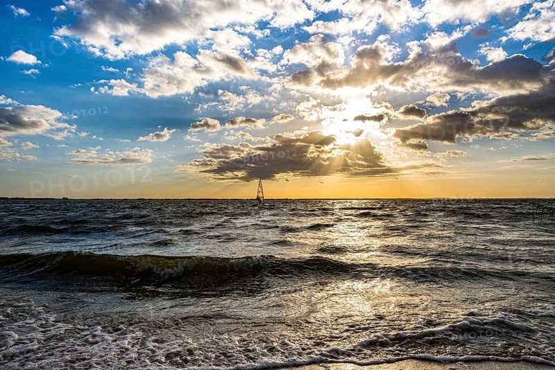 Windsurfer