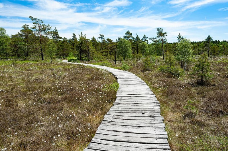 Boarded footpath