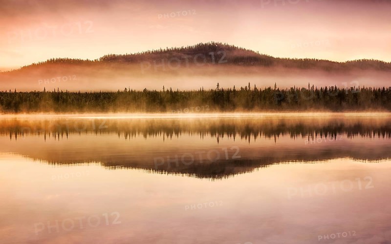 Autumnal fog atmosphere on the lake shore in the evening light