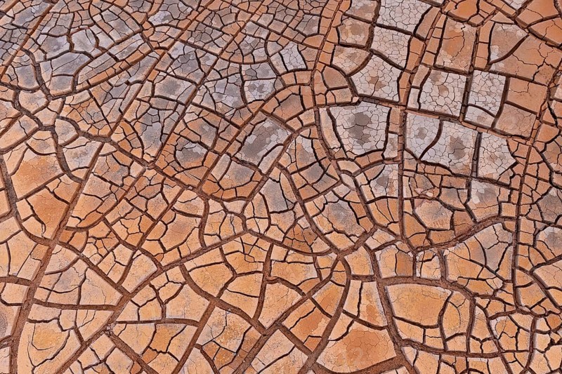 Cracks in clay soil form mosaic-like structure
