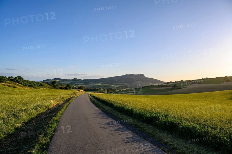 Country road leads through the volcanic landscape of Hegau