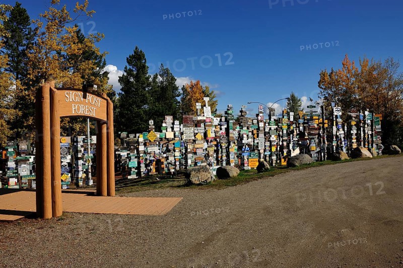 Sign Post Forest