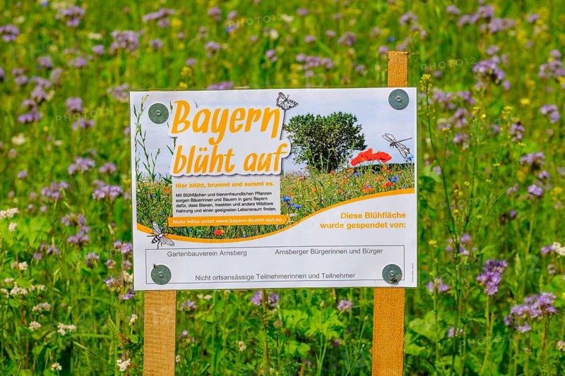 Plaque with inscription Bavaria is blooming
