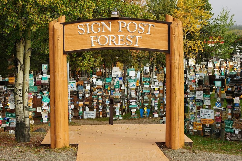 Sign Post Forest