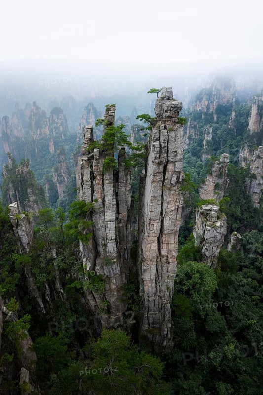 Avatar Mountains in fog