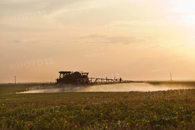 Tractor Sprays Pesticide on Cotton Fields near Luis Eduardo Magalhaes