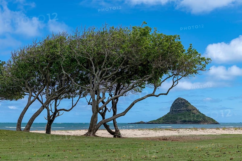 Chinaman's Hat