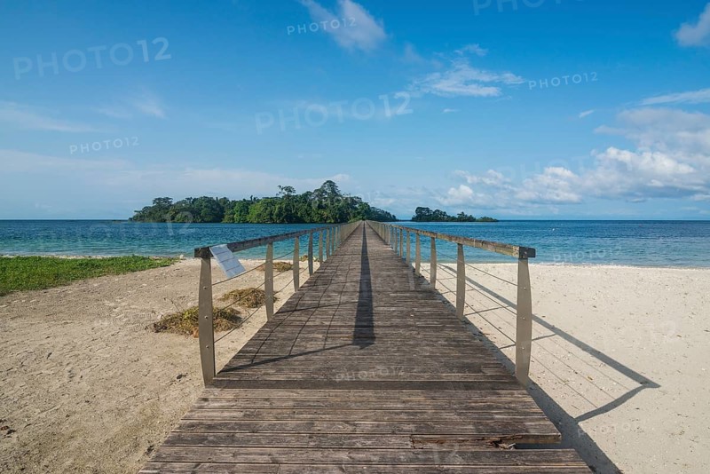 Bridge to Isla Horacio