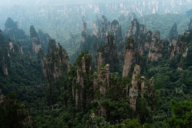 Avatar Mountains in fog