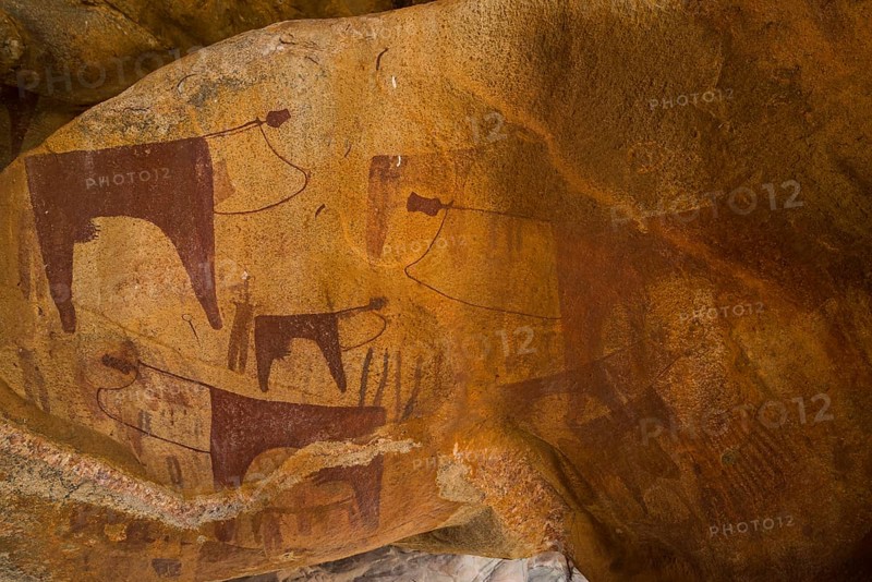 Cave paintings in Laas Geel caves