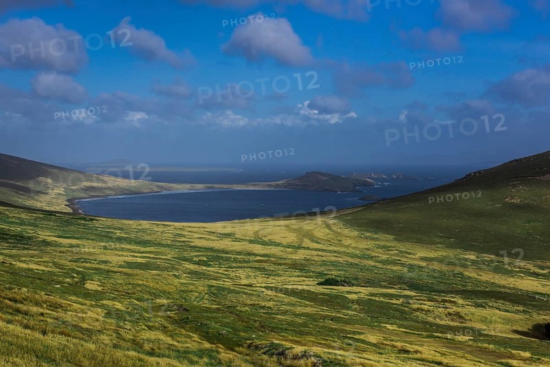 Landscape on Carcass Island