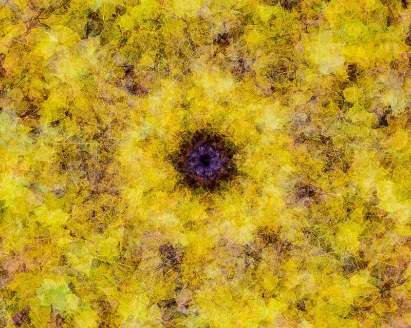 Autumn mosaic