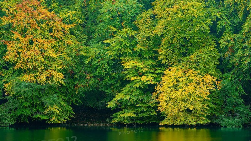 View of the lake Schmaler Luzin in the Feldberger Seenlandschaft in autumn