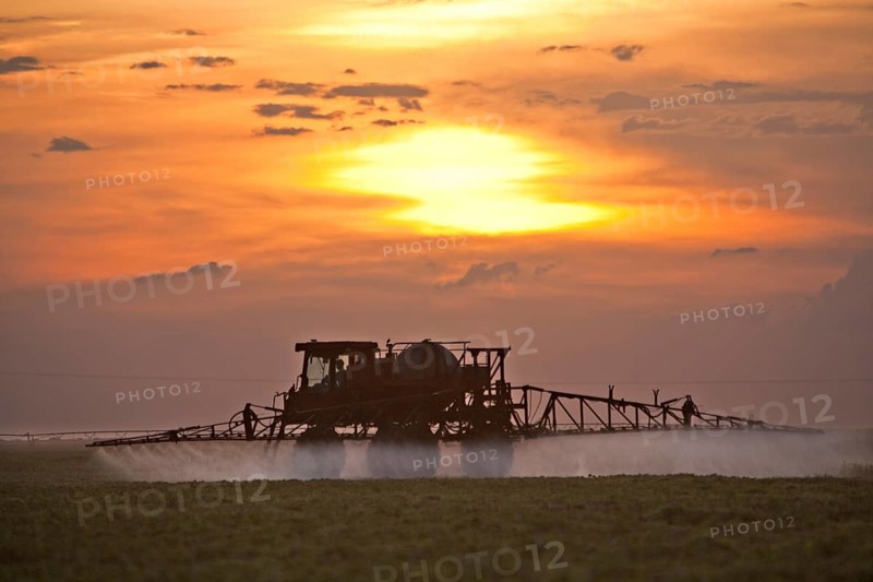 Tractor Sprays Pesticide on Cotton Fields near Luis Eduardo Magalhaes