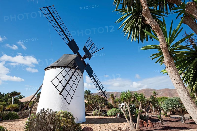 Windmill