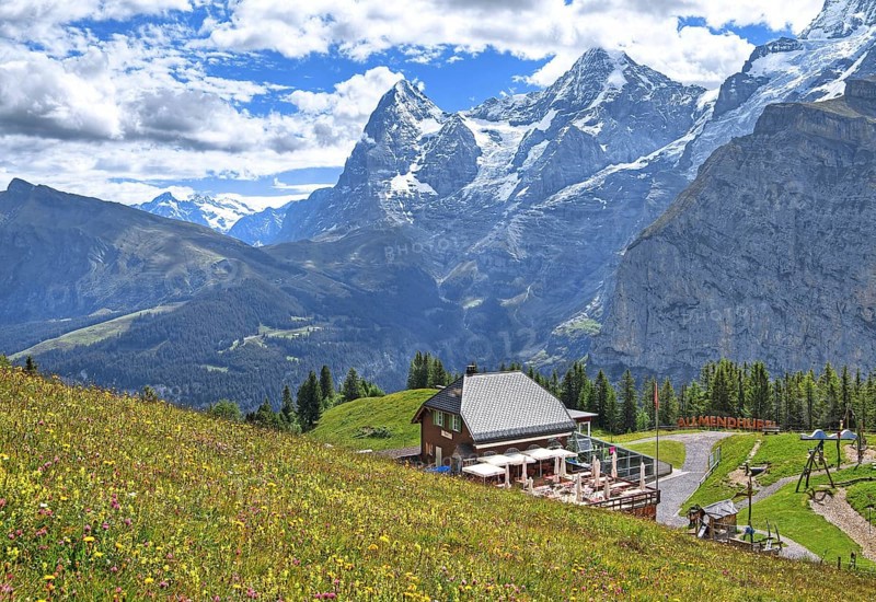 Blossoming mountain meadow and mountain inn Almendhubel in front of the Eiger and Moench