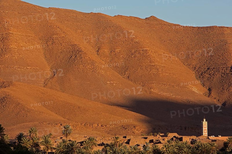 Minaret in the evening light