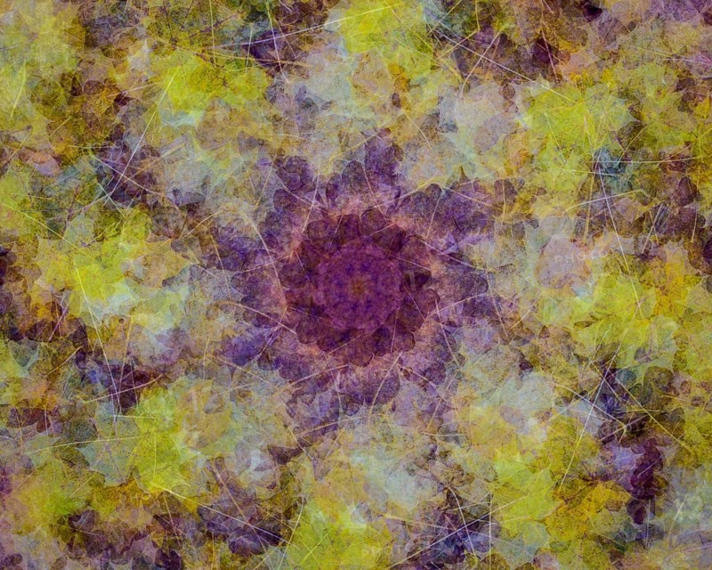 Autumn mosaic