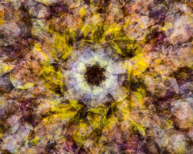 Autumn mosaic