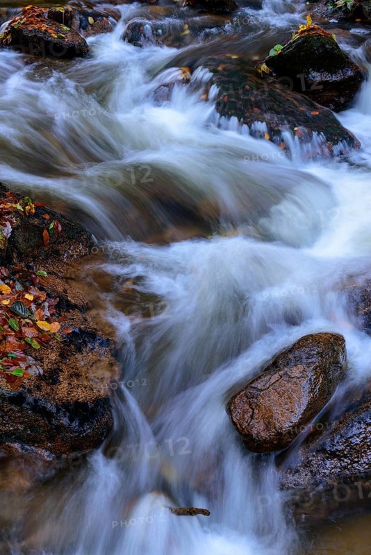 Autumn on the river Ilse in the Harz Mountains