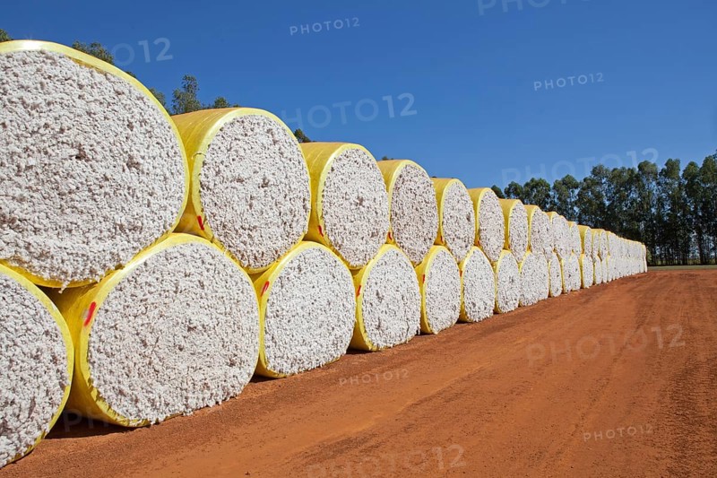 Stacks of cotton in Mato Grosso state