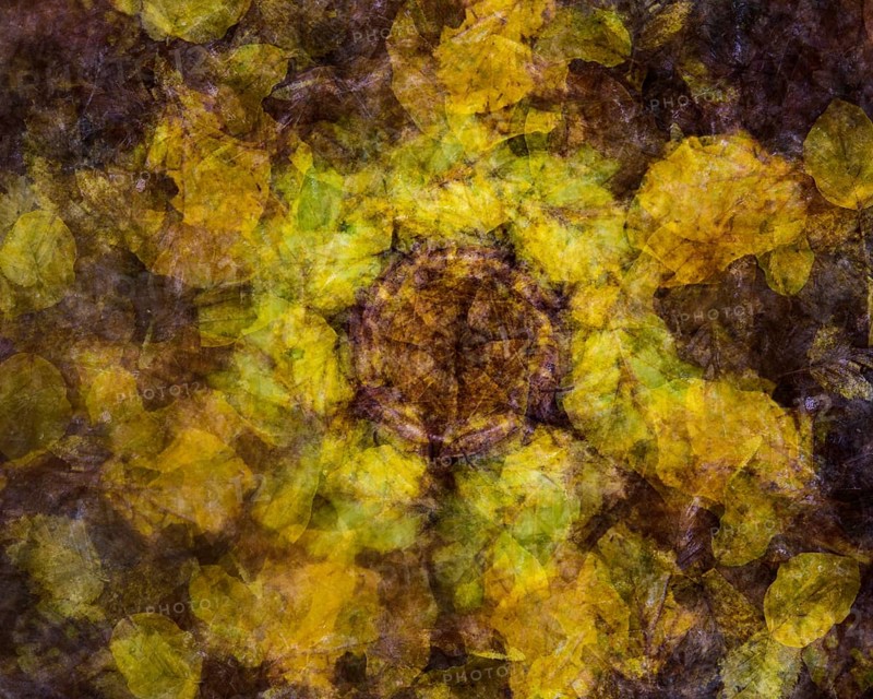 Autumn mosaic