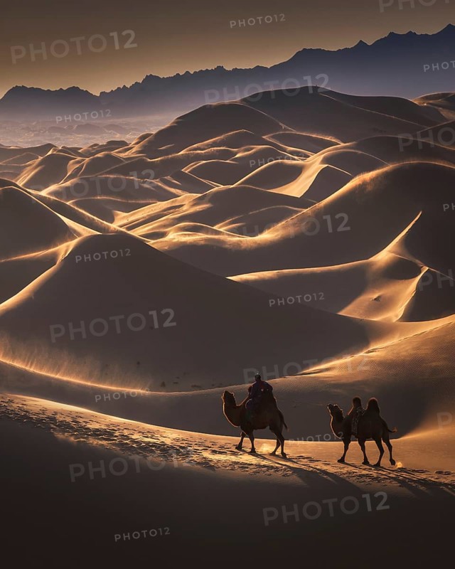 Windy day in the Gobi desert. Umnugobi province