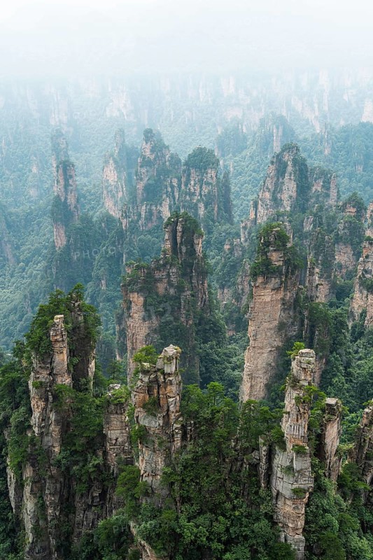 Avatar Mountains in fog