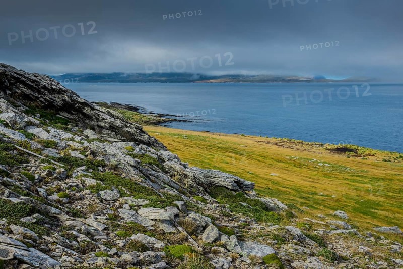 Landscape on Carcass Island