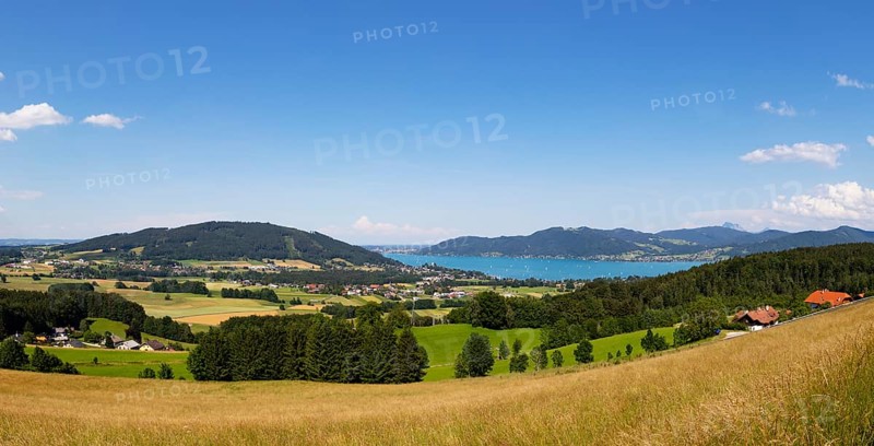 View from Kronberg to Attersee am Attersee