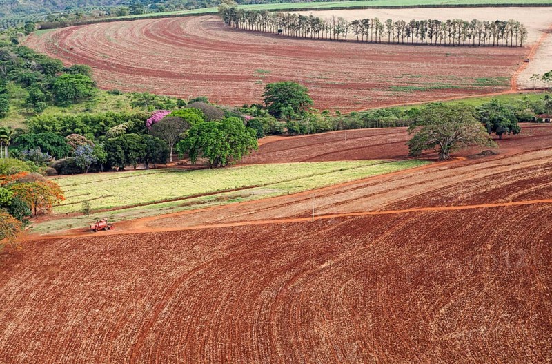 Aerial View of Farm with Harvested Sugarcane Crops