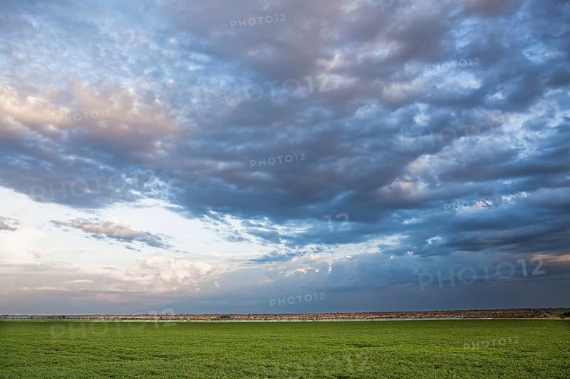 Soybean Crops at sunset near Luis Eduardo Mahalhaes