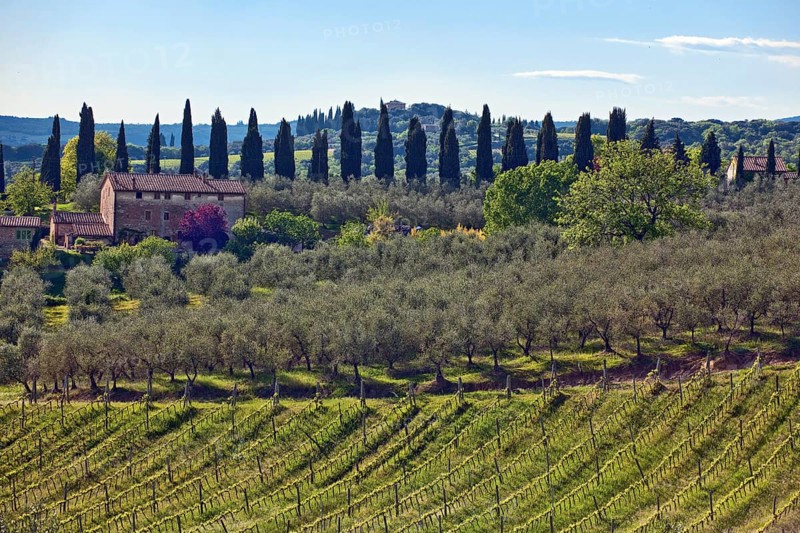 Landscape of Tuscany