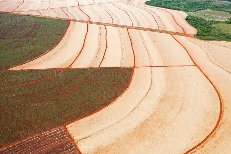Mechanized Harvest of Sugarcane with Interior Atlantic Forest